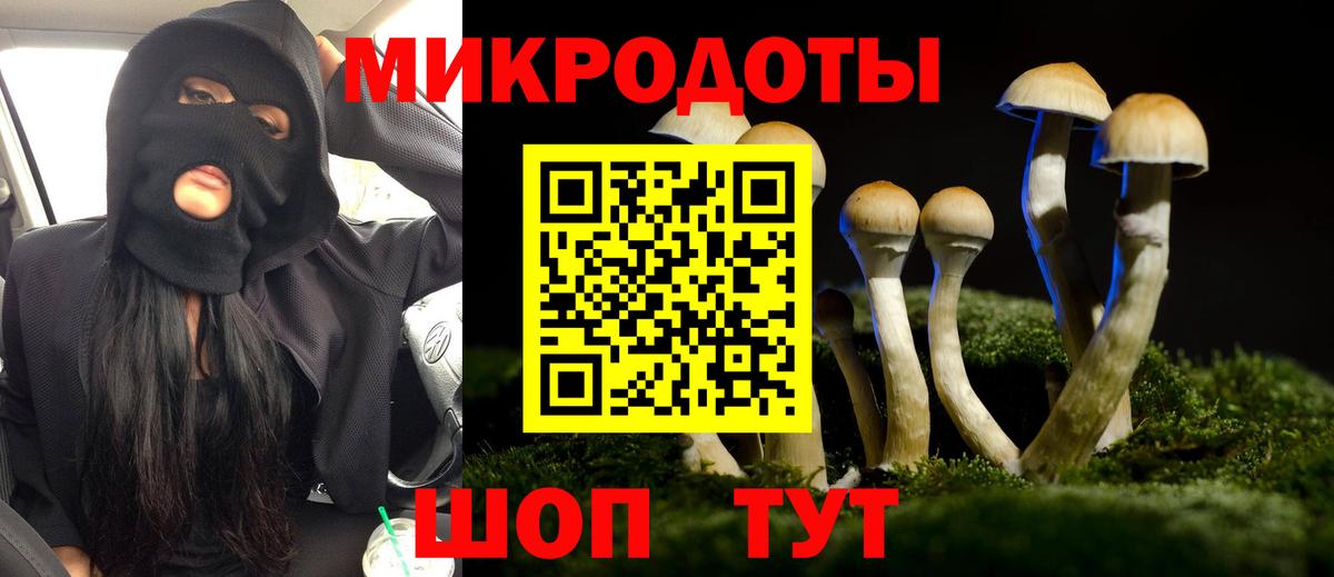 Сургут  Псилоцибиновые грибы Cubensis  Вход с VPN 