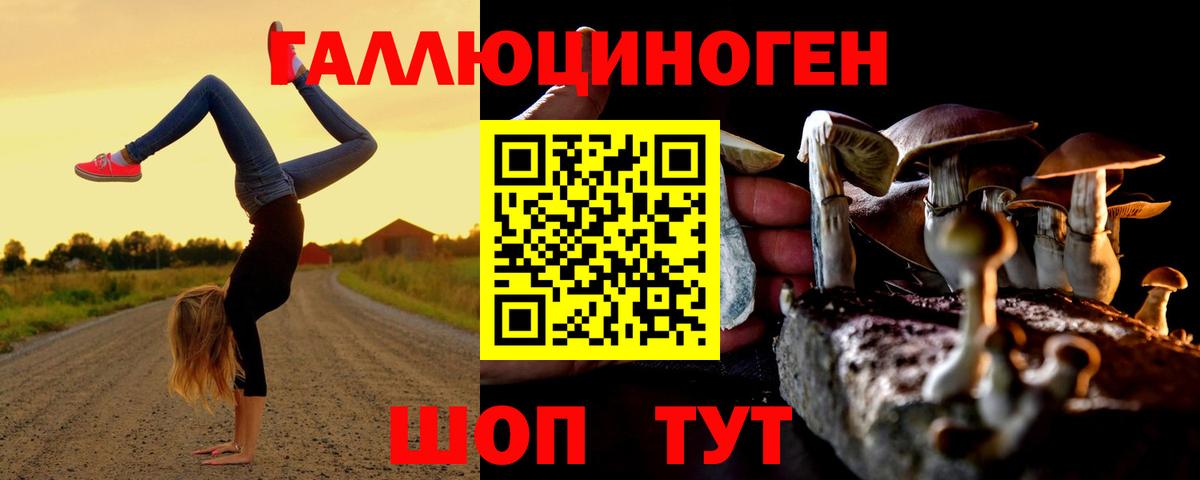 Псилоцибиновые грибы GOLDEN TEACHER Сургут